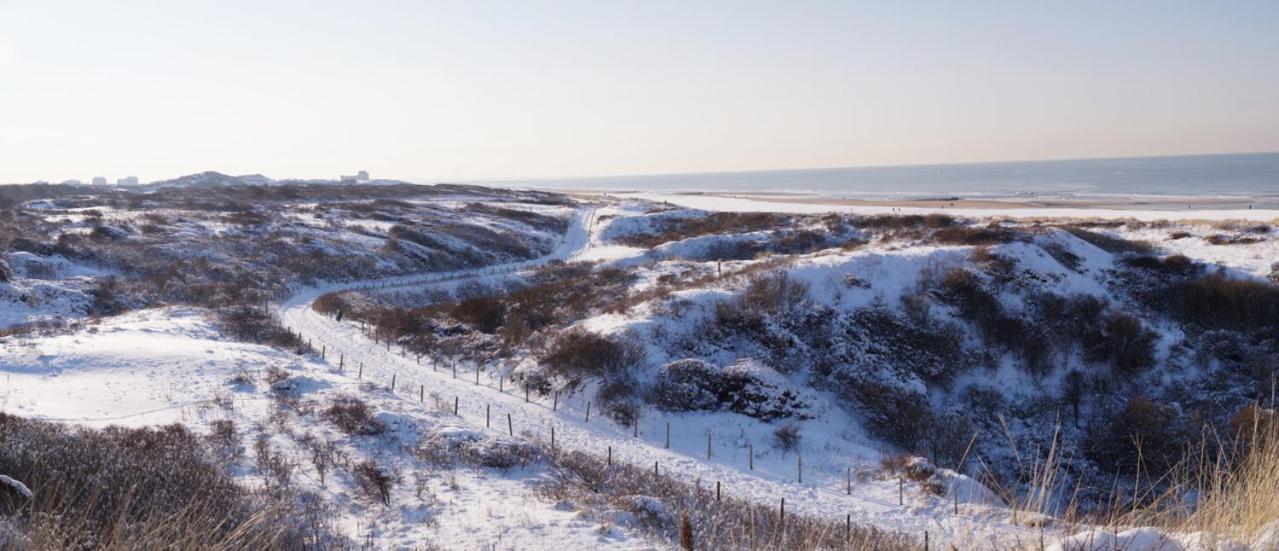 Dunes & Sea At Kijkduin Den Haag Ngoại thất bức ảnh